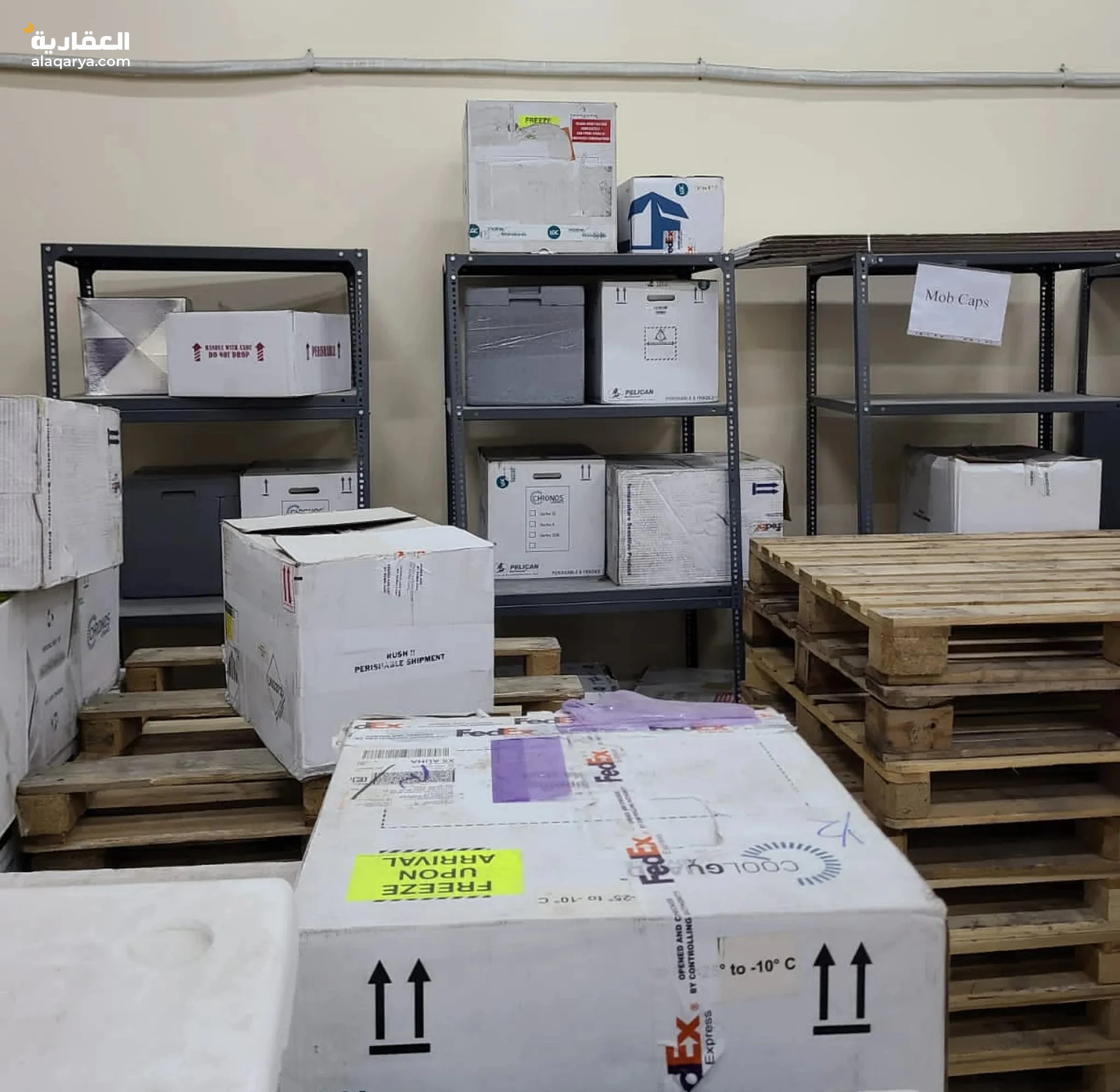 #مستودع طبي مجهز كامل حسب المواصفات Medica Store for sale