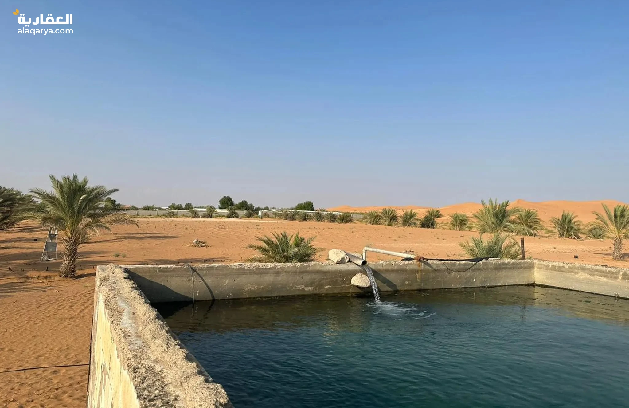 #للبيع مزرعه في السليمات