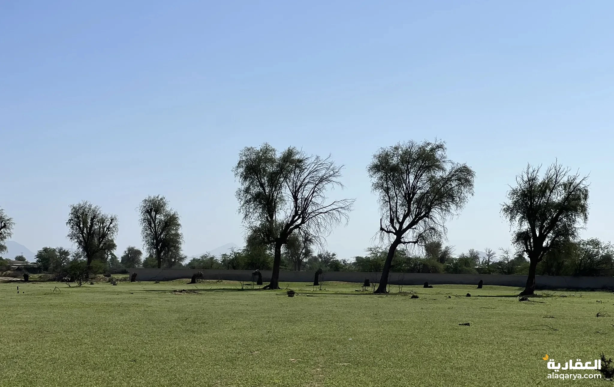 #للبيع ارض زراعيه موقع مميز في المدام الحصون الشارقة 152،000قدم