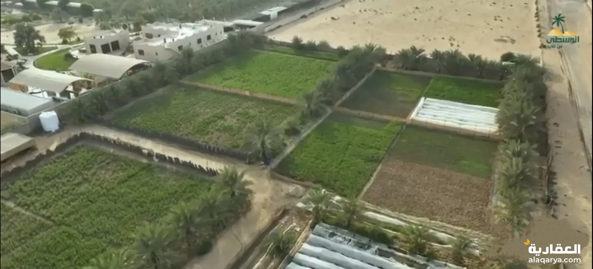 #يمتنع المكاتب العقارية للبيع مزرعه في الزبير موقع مميز 145،300 قدم فيها زراعه ونخل