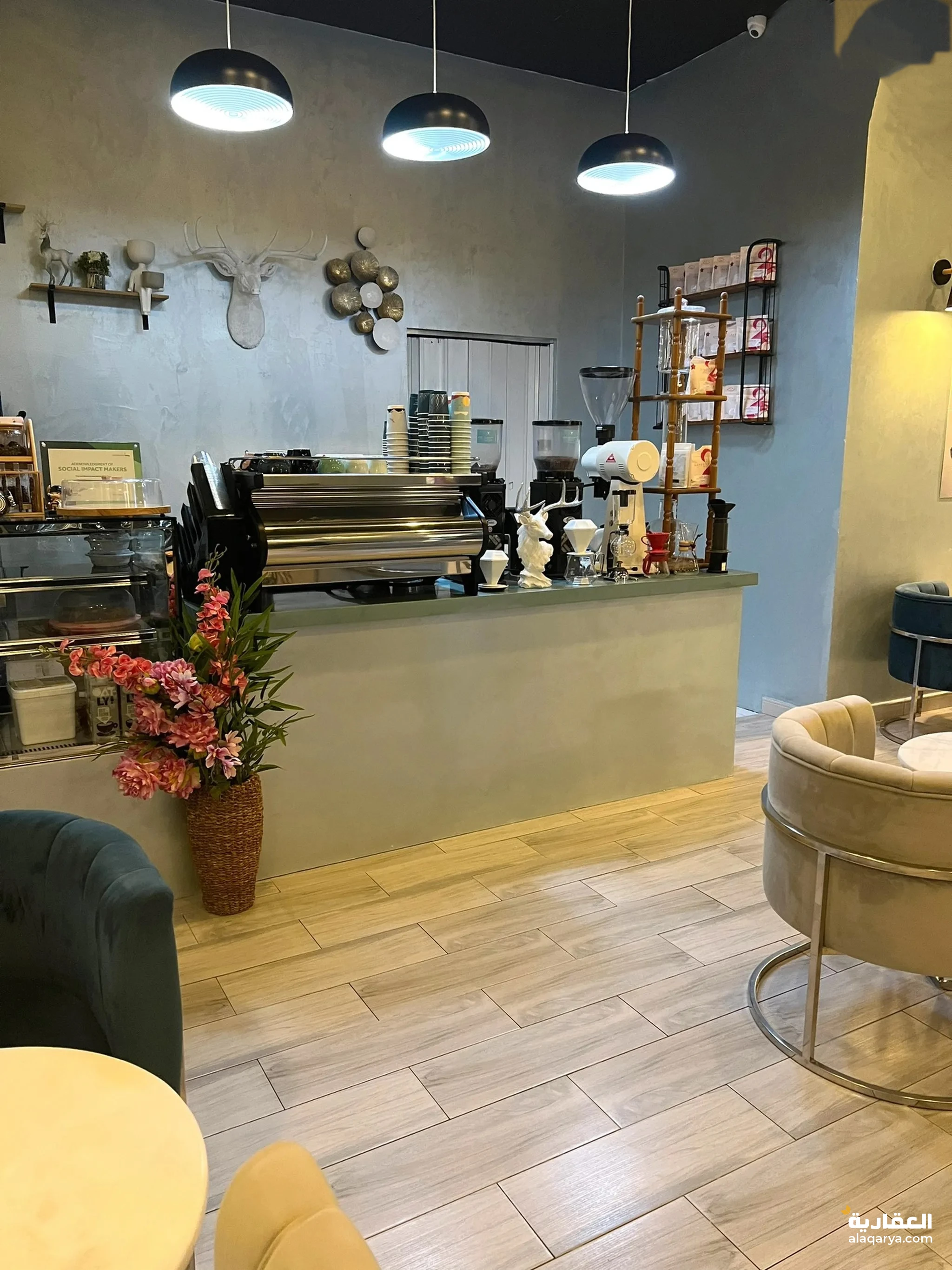 #كوفي شوب للبيع