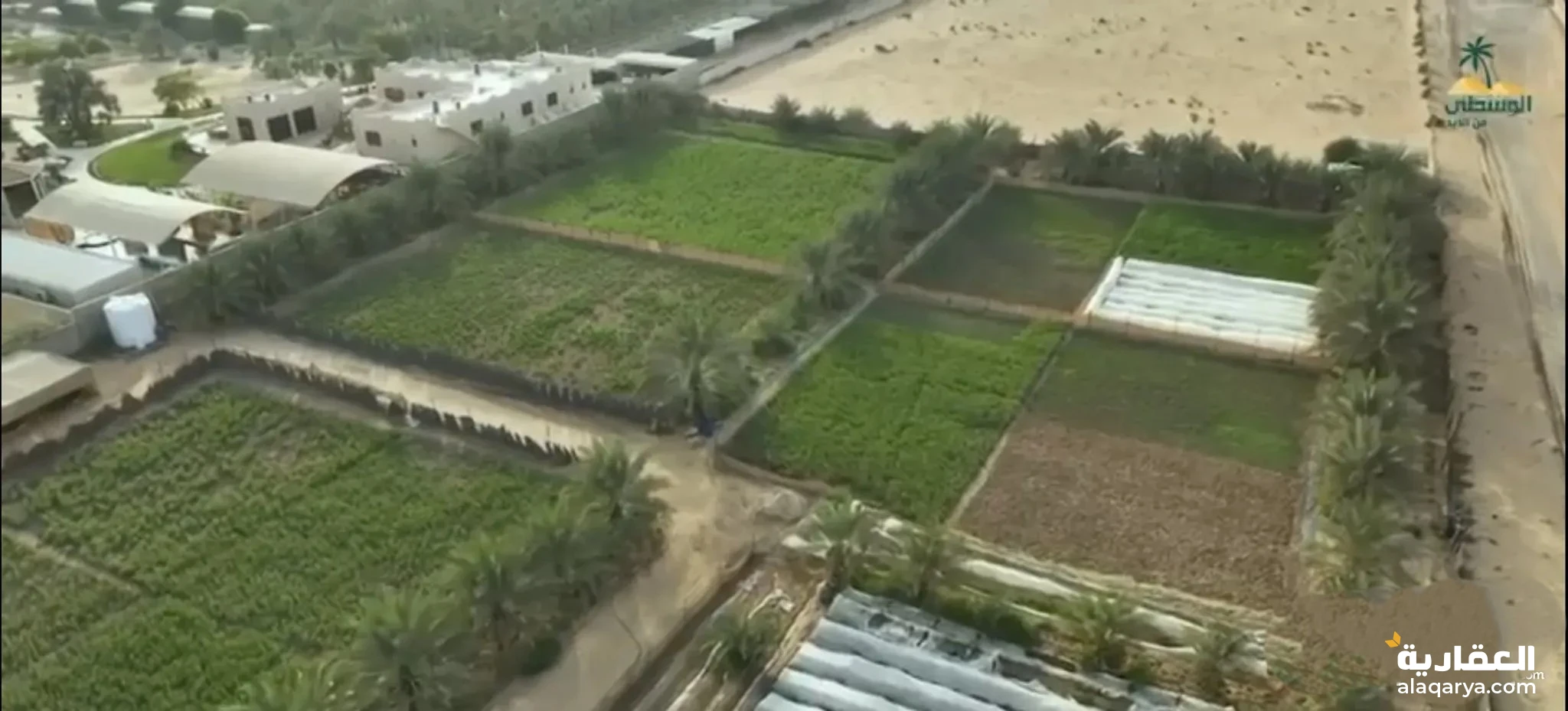 #يمتنع المكاتب العقارية للبيع مزرعه في الزبير موقع مميز 145،300 قدم فيها زراعه ونخل