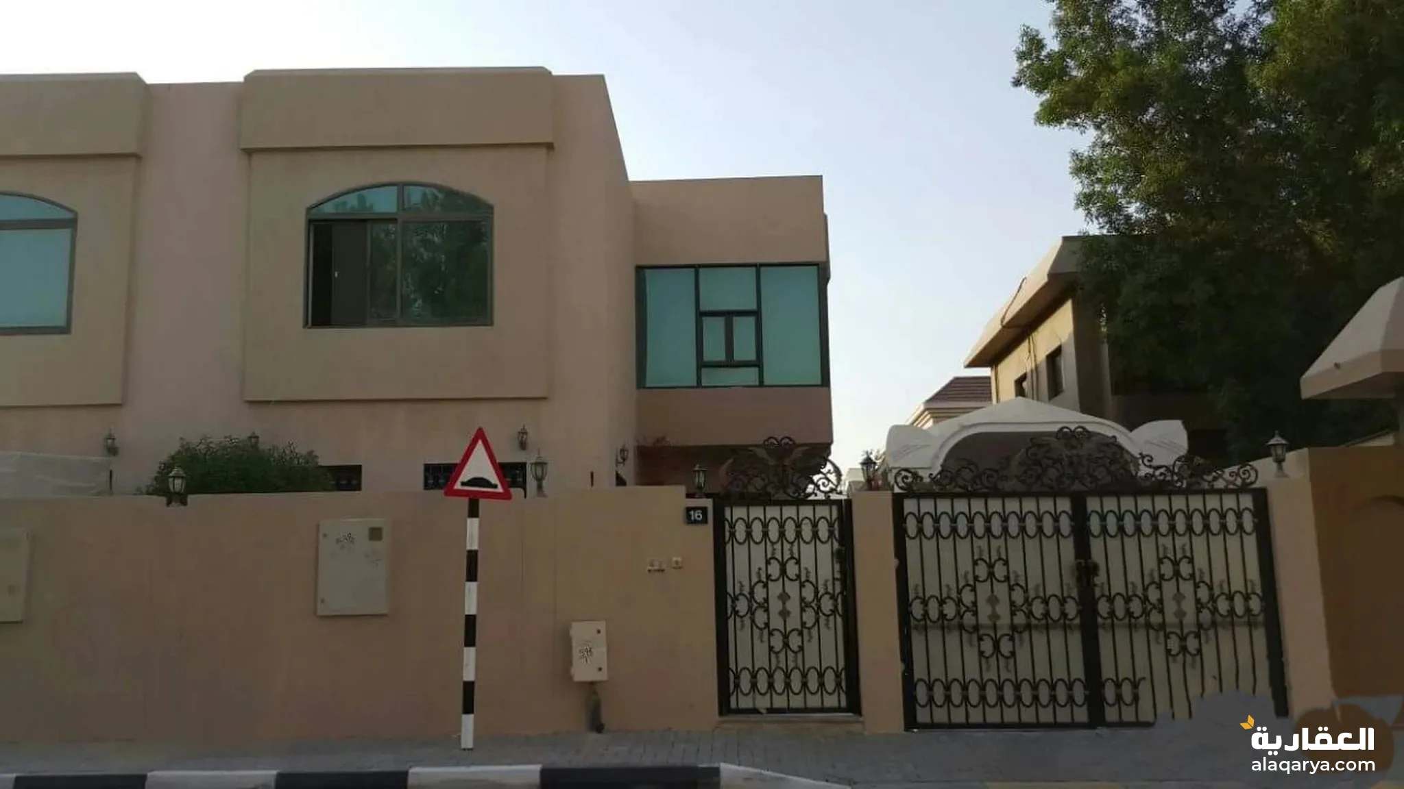 #فيلتان ملتصقتان للبيع