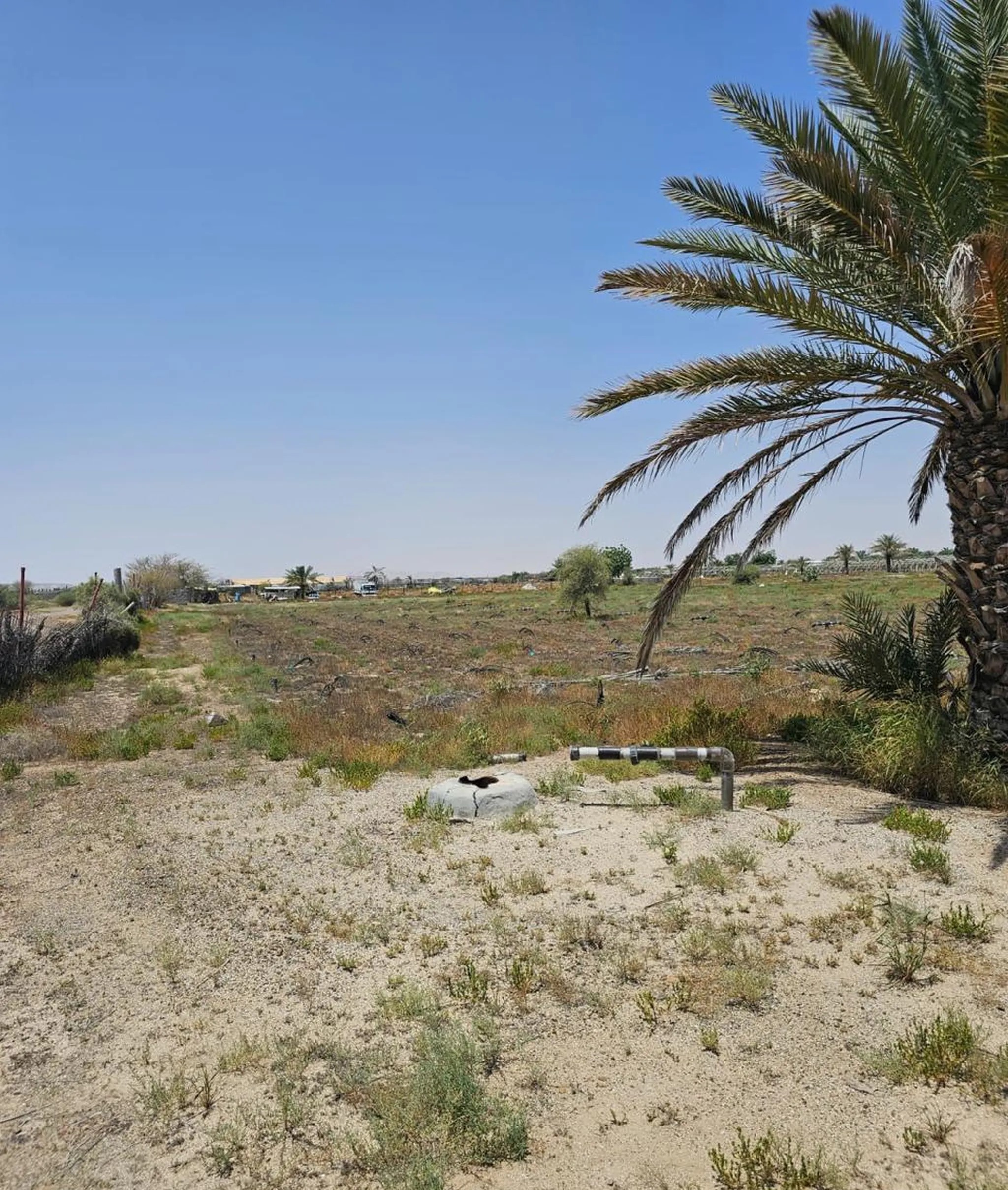 #مزرعه للبيع