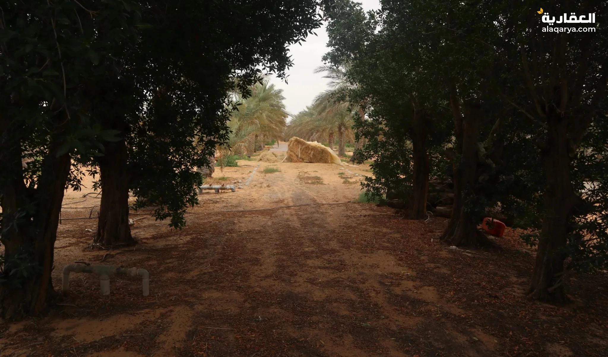 #مزرعه للبيع