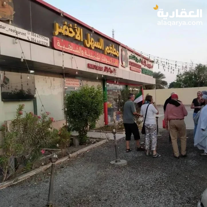 #مطعم مندي و مأكولات شعبية للبيع