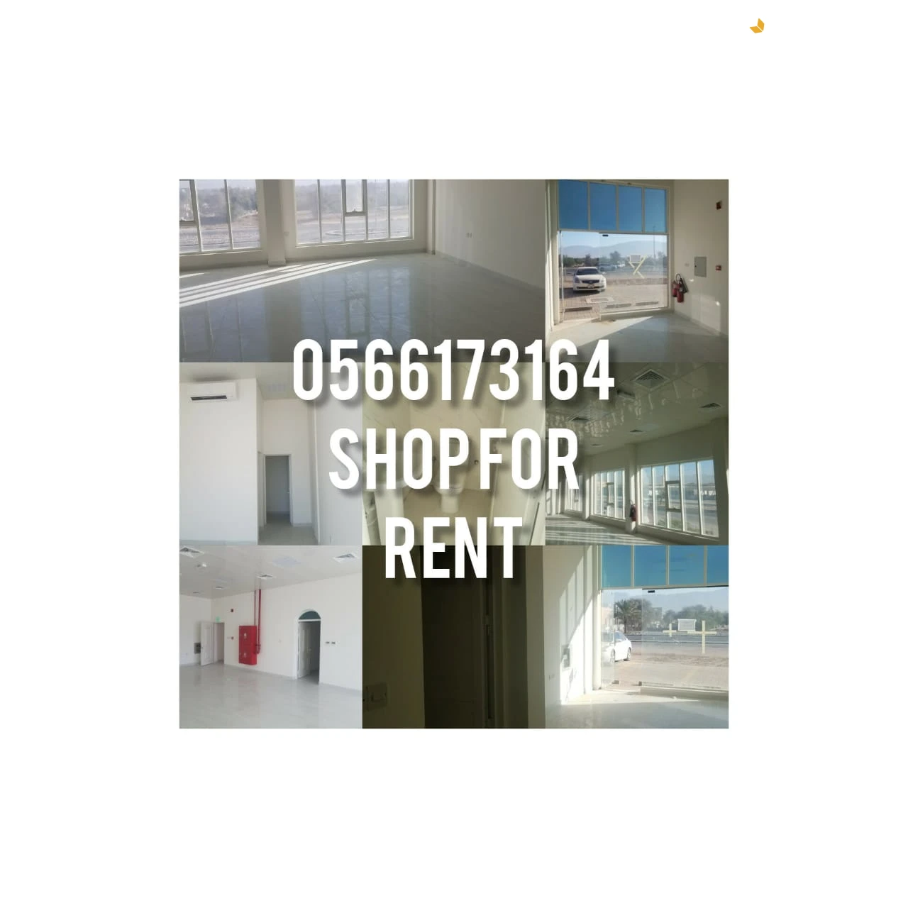 محلات للايجار في الدقداقة