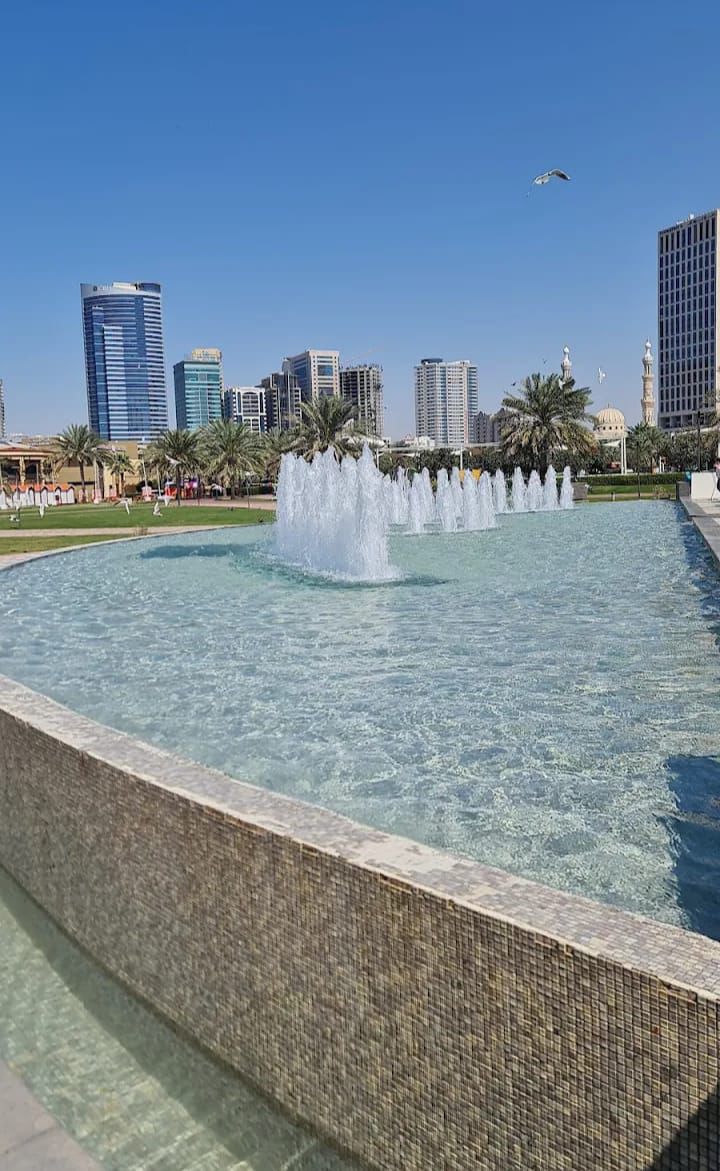 برج بدخل 11٪