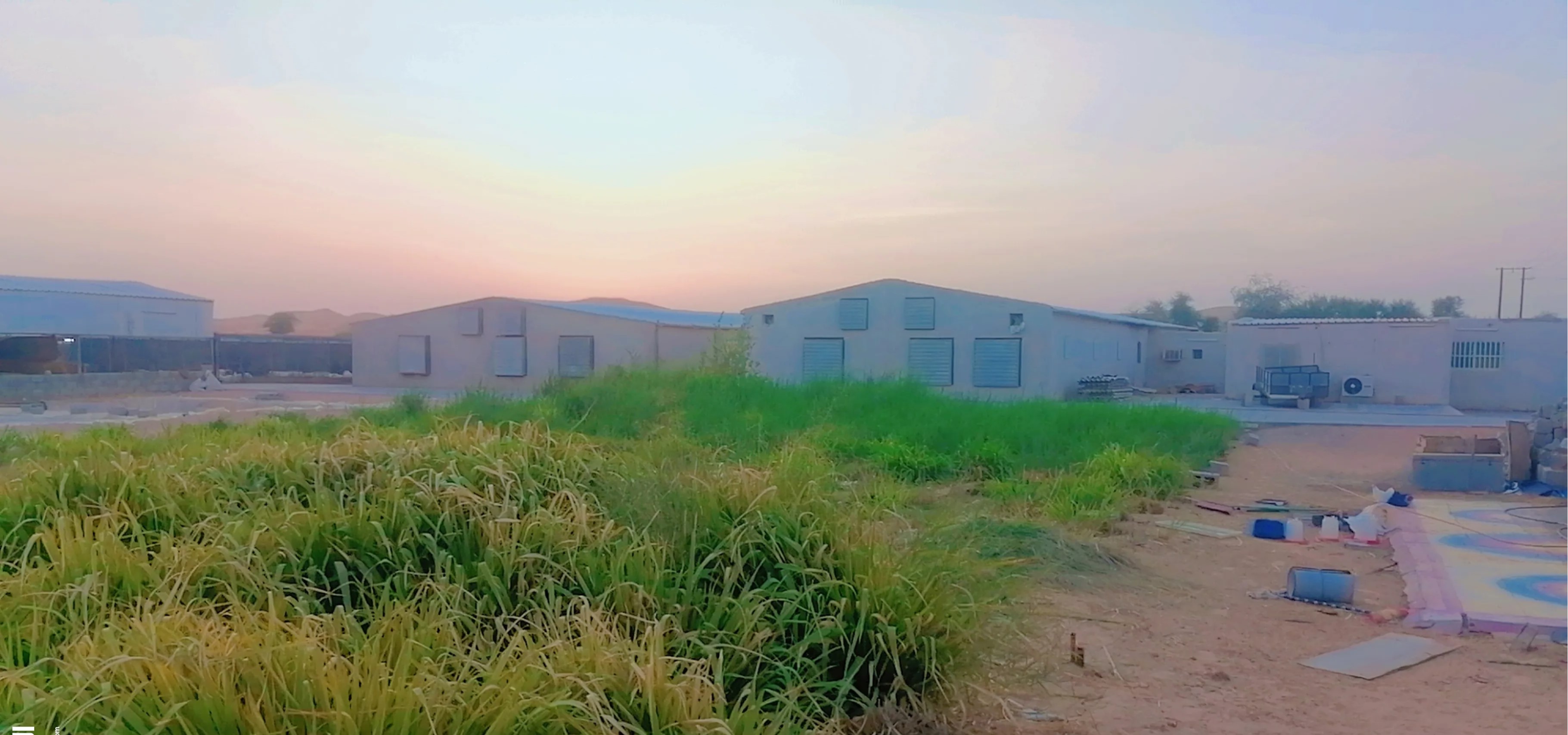 #عزبة للبيع في منطقة الساد الزعله