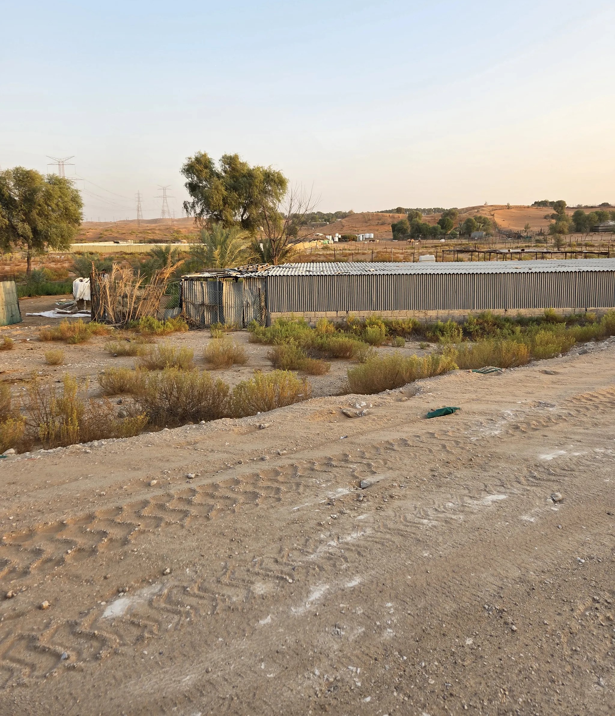 #عزبة للتنازل في العين بدع بنت سعود مخرج 19