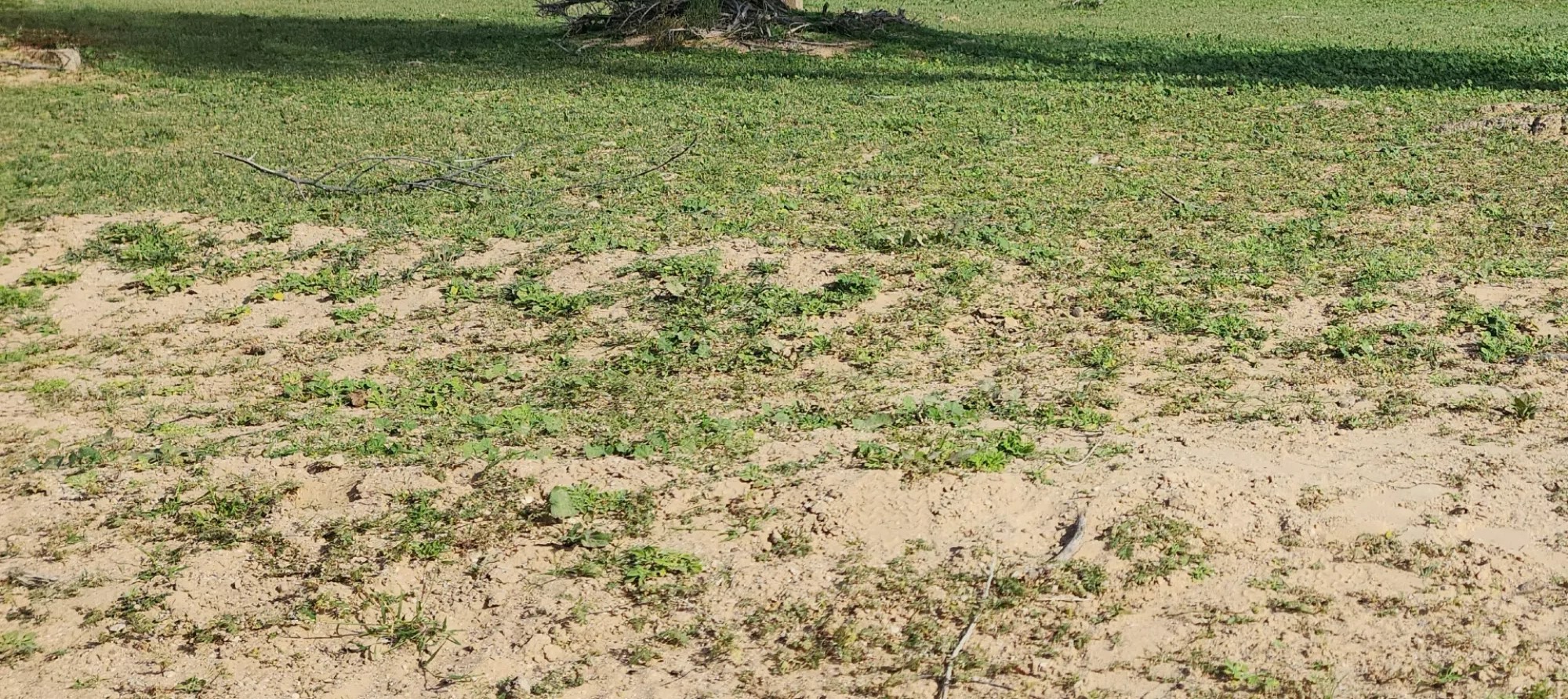 #للمبادلة أرض زراعية